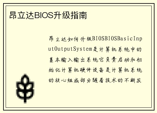 昂立达BIOS升级指南